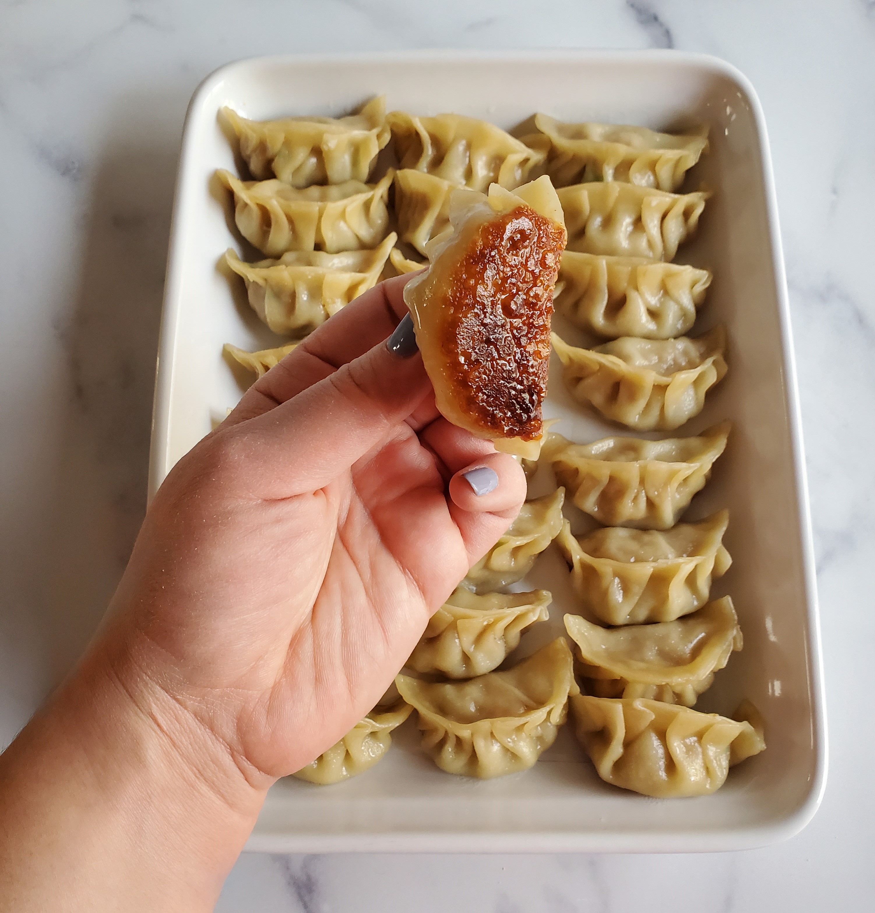 A large rectangular platter of Chinese Potstickers. In front of it is a hand holding a potsticker, with the crispy bottom facing forward.